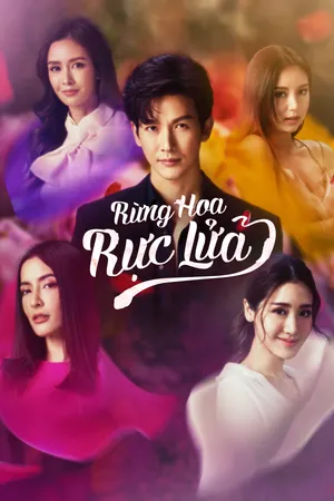 Rừng Hoa Rực Lửa