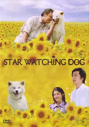 Chó Ngắm Sao