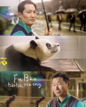 Fubao: Bảo Bối Của Ông