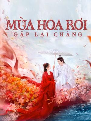 Mùa Hoa Rơi Gặp Lại Chàng