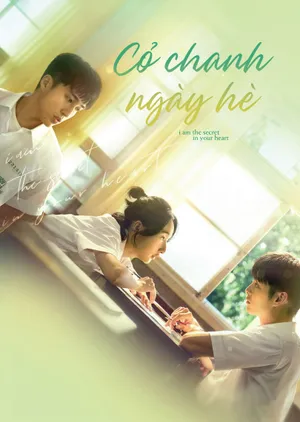 Cỏ Chanh Ngày Hè