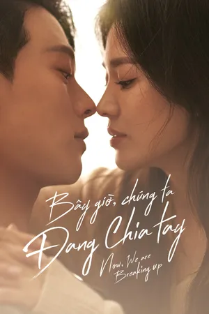 Bây Giờ, Chúng Ta Đang Chia Tay