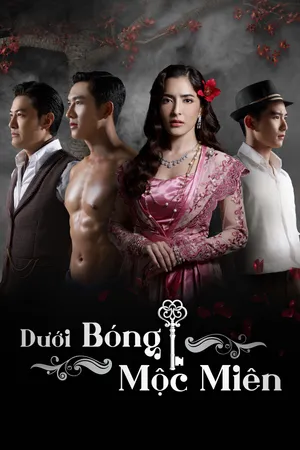 Dưới Bóng Mộc Miên