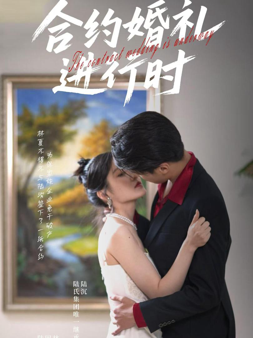 Đám Cưới Hợp Đồng Đang Diễn Ra