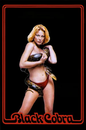 Rắn hổ mang đen