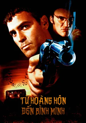 Từ Hoàng Hôn Đến Bình Minh