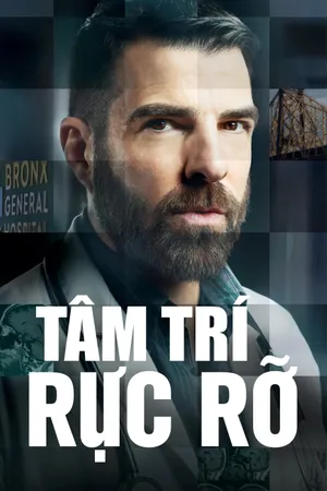 Tâm Trí Rực Rỡ