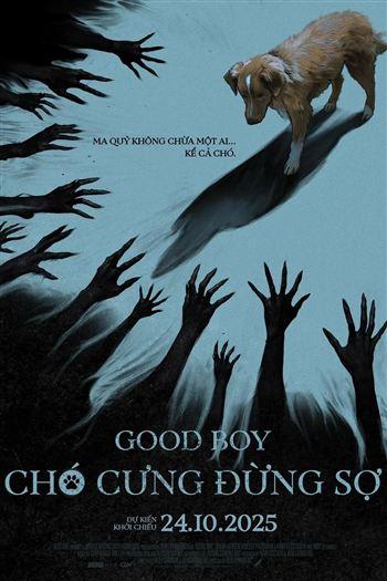 Chó Cưng Đừng Sợ