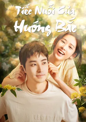 Tiếc Nuối Của Hướng Bắc