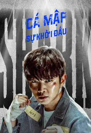 Cá Mập: Khởi Đầu