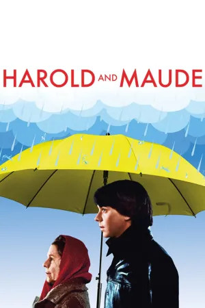 Harold Và Maude