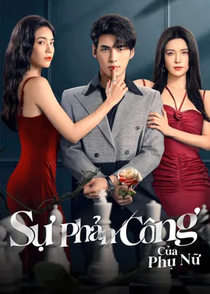 Sự Phản Công Của Phụ Nữ