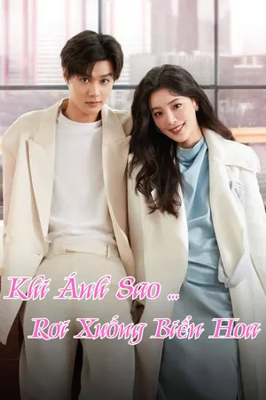 Khi Ánh Sao Rơi Xuống Biển Hoa