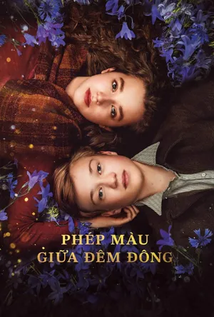 Phép Màu Giữa Đêm Đông