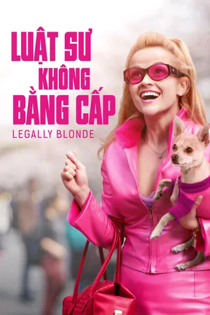 Luật Sư Không Bằng Cấp