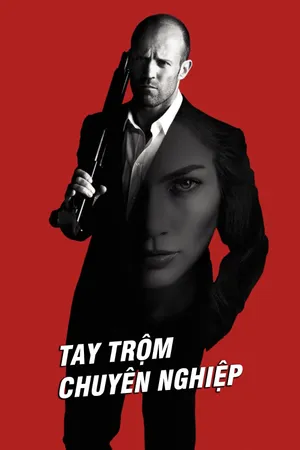 Tay Trộm Chuyên Nghiệp