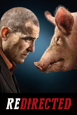 Cuộc Phiêu Lưu Bất Đắc Dĩ