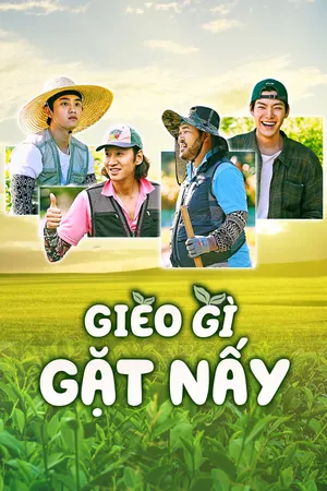 Gieo Gì Gặt Nấy