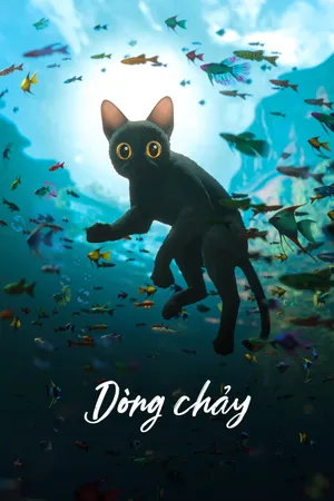 Dòng Chảy