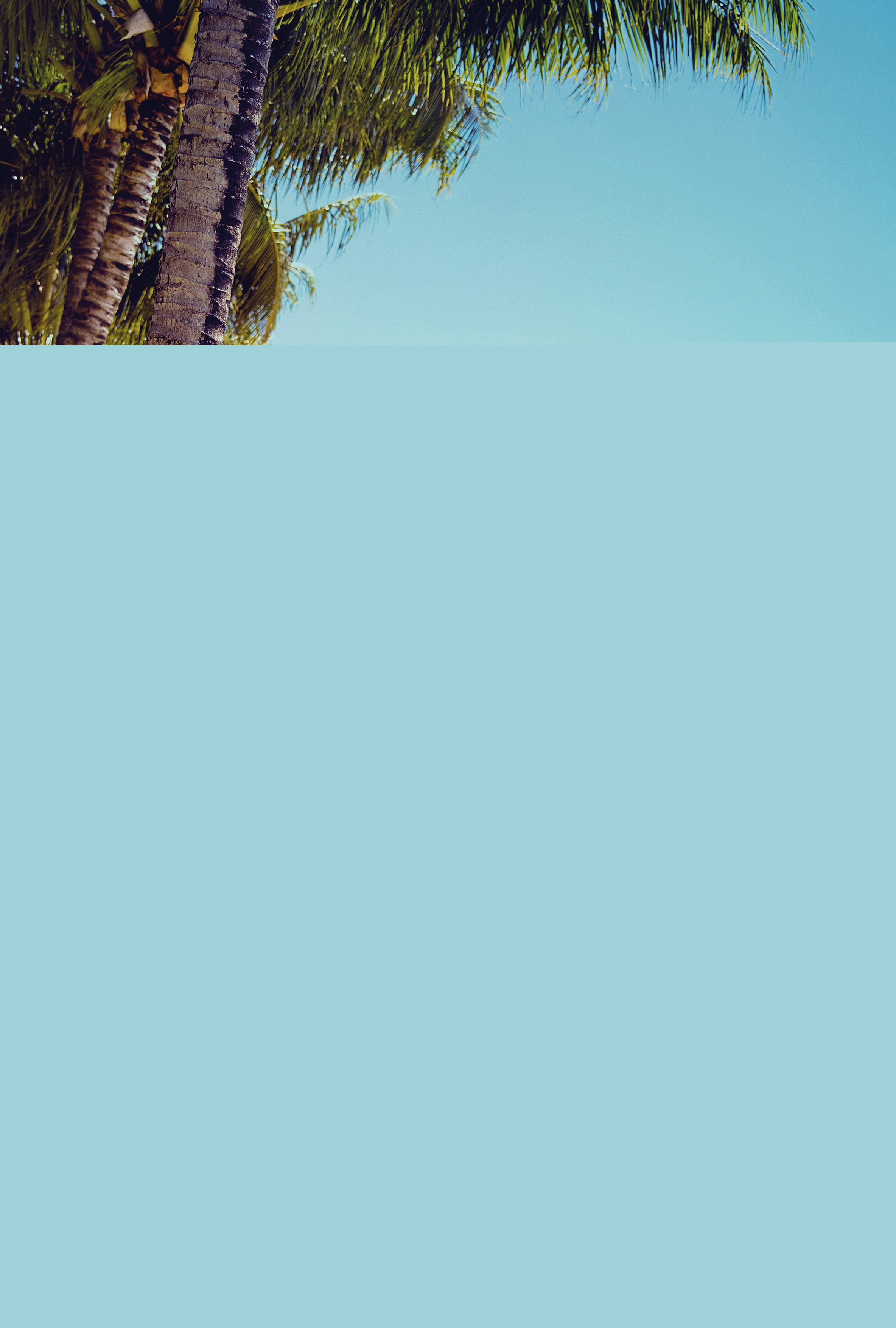 Tình yêu bé nhỏ của tôi