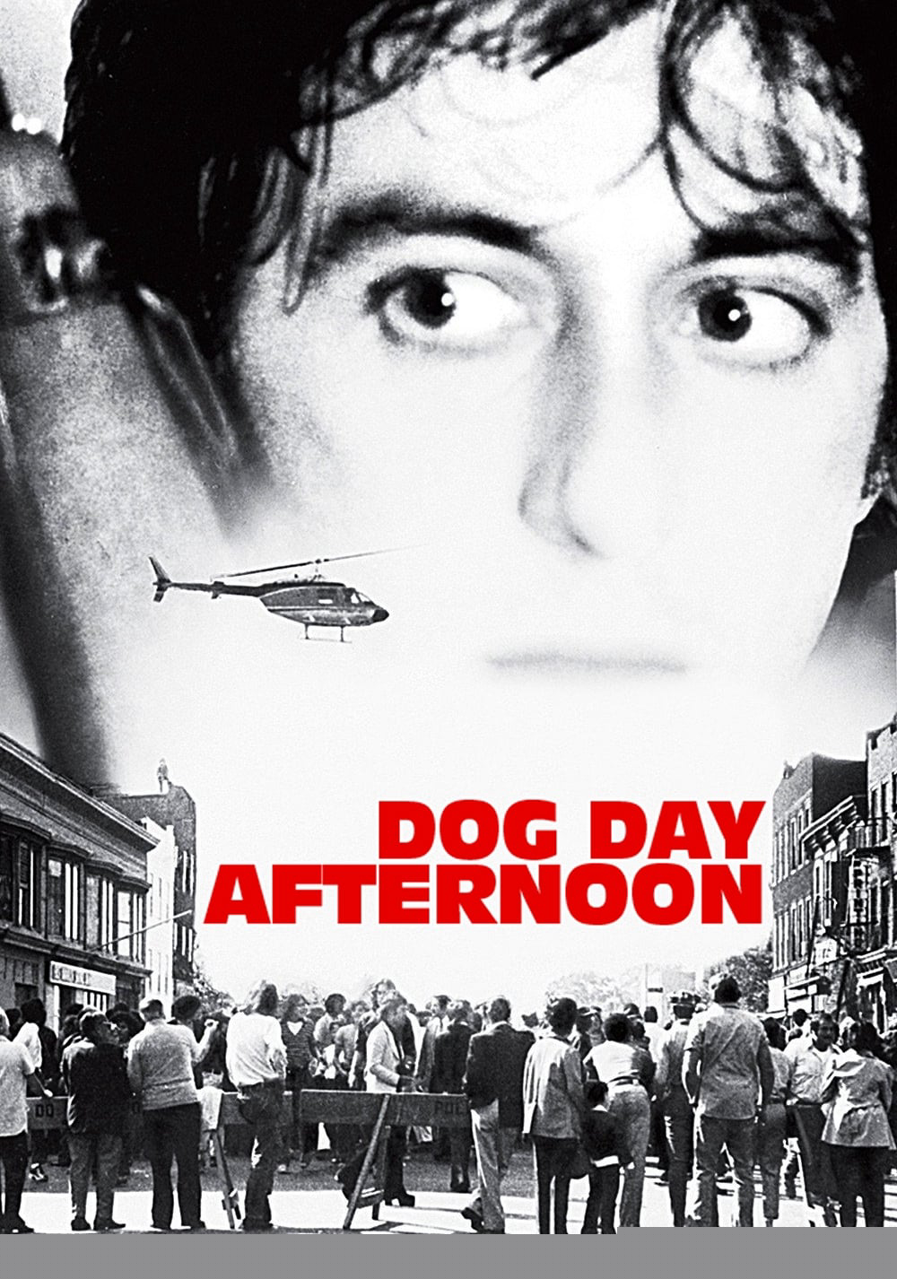 Dog Day Afternoon